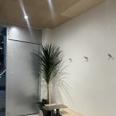 서신동주민센터 화장실 | [전주 서신동 카페]데이위크(Dayweek) : 아늑한 분위기가 가득한 서신동 신상 카페 방문 후기