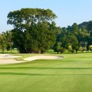 월드골프클럽 이미지