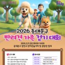 댕댕이,봄 미디어투데이