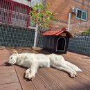 프로네앞마당 이미지