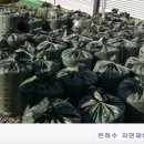 최영숙농장 이미지