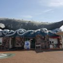 장생포고래박물관 이미지