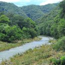 시내산펜션 이미지