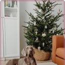 따뜻한 동물병원 이미지