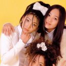 SES 카카오 검색결과