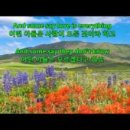 하와이비치 이미지