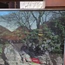 울주 대곡리 반구대 암각화 | 울산 울주 대곡리 반구대 암각화 유네스코 세계유산 등재