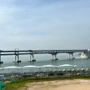 커들스테이 | [부산 광안리]오션뷰 감성 가득한 숙소 "커들스테이" 티아라 솔직후기