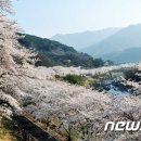 화개장터 이미지