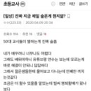 어제자 초등교사 갤러리 개념글 이미지