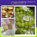 푸디마켓