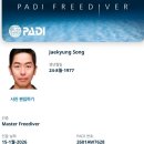 도전 역사탐험 | 플러시안프리다이빙 과천 패디PADI/아이다AIDA 마스터과정 취득 후기 [feat.용인 딥스테이션]