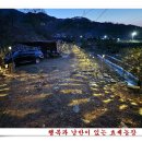 만산농장 이미지