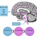 싱잉볼 명상 테라피 이미지