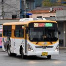 영덕운수 이미지