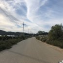 대부북동 1161-17~선재도 입구 주변 | 대부도 데이트 코스 바다향기테마파크, 예쁜 사진 건지기 좋은 곳!