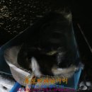 장전낚시터 이미지