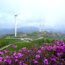 강진목장 이미지