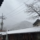 계룡산 띠울골 고구마 마을 | [대전 근교 촌캉스] 공주 촌캉스 추천 “계룡산 갑사 한옥 마을 민박”