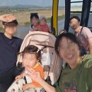 민통선농가집 | [파주 아기랑 가볼만한곳] 임진각 평화 곤돌라 타고 민통선 구경! (디럭스 유모차 &amp; 신분증 팁)