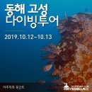 로맨틱다이브센터&리조트