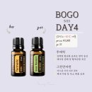 그린아로마 이미지