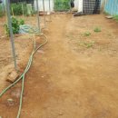 반장농장 이미지