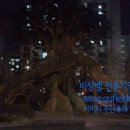 하계어린이공원 이미지