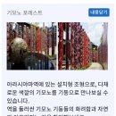 교약국 | 교토 아라시야마 후기… 기모노 포레스트 포기하고 도게쓰교에서 쉬어간 이유