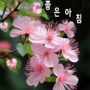 ♡ 5월 1일 수요일 전북방 출석부 입니다. ♡ 이미지