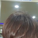 향기나라 이미지