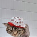 잔다냥 천안점 이미지