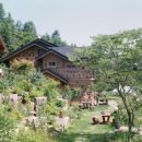 돌배나무 세그루 이미지