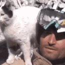역대급 집사 간택”… 129시간 만에 구조된 고양이의 감동 결말 이미지