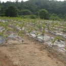 광암농장 이미지