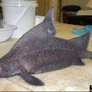 장소미정 이미지