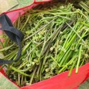 덕림농장 이미지