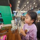 치킨플러스 문래점 | 서울롤러장 고고랜드 영등포점 아이랑 갈만한 곳 롤러스케이트 사이즈 먹거리 가격