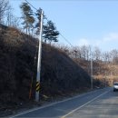 비야대정로 이미지