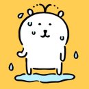 (주)해긴 | 검도일기) 디다 디