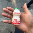 메가커피 안성명동점 | 안성 대천동 한경대학교 근처 백반 맛집 담너머집