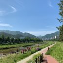 광려천 힐링산책로 이미지