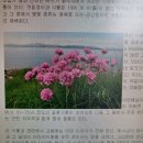 ‘주님 세례 축일’과 세례성사 물과 성령으로 다시 태어나 ‘주님의 옷’ 입은 자녀 되어라 이미지