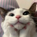 야~ 대짱이 생일주간이래! 다들 축하해줘(카카오톡선물하기/29CM선물하기/선물깡/생일주간 기록/20...