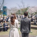 ［작은 결혼식］170만원으로 '벚꽃 엔딩'을 만든 우리, 평생 기억될 둘만의 추억 이미지