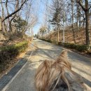 서곶공원배드민턴장 이미지