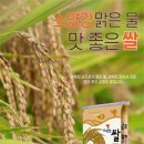 춘천지역먹거리통합지원센터 이미지