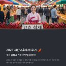 괴산고추축제 | 2025 괴산고추축제 후기, 주차 꿀팁과 가수 라인업 총정리!