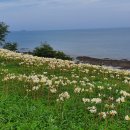 부안변산마실길 이미지