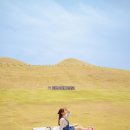 송학동-12 이미지